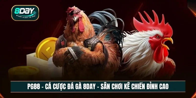 Cá cược đá gà 8DAY – Sân chơi kê chiến đỉnh cao