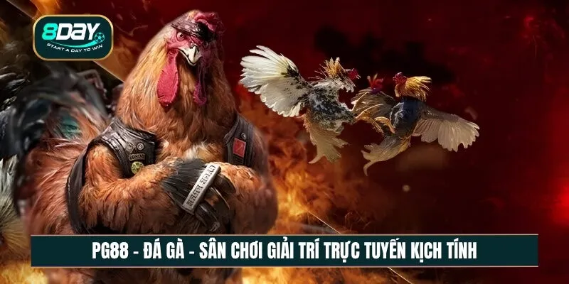 Đá gà sân chơi giải trí trực tuyến đầy kịch tính Đá gà sân chơi giải trí trực tuyến đầy kịch tính